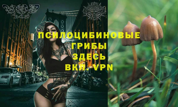 прущий лед Абдулино