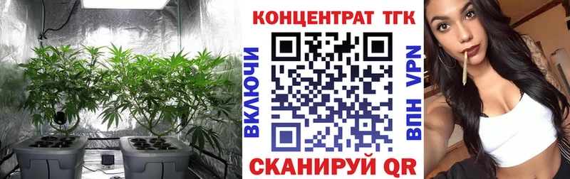 как найти мега зеркало Дистиллят ТГК Wax Ак-Довурак